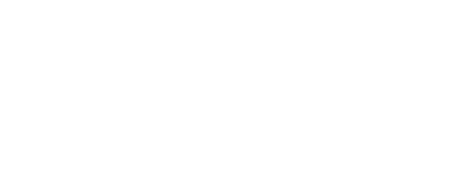 Perplan